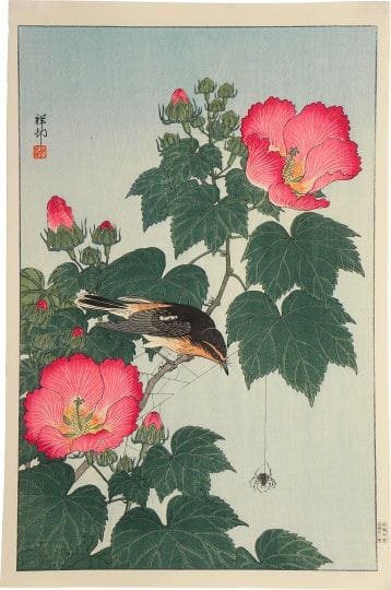Tableaux sur toile, reproduction de Ohara Koson Fly-catcher On Rose Mallow Watching Spider C.1932