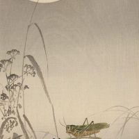 أوهارا كوسون جندب والقمر 1910