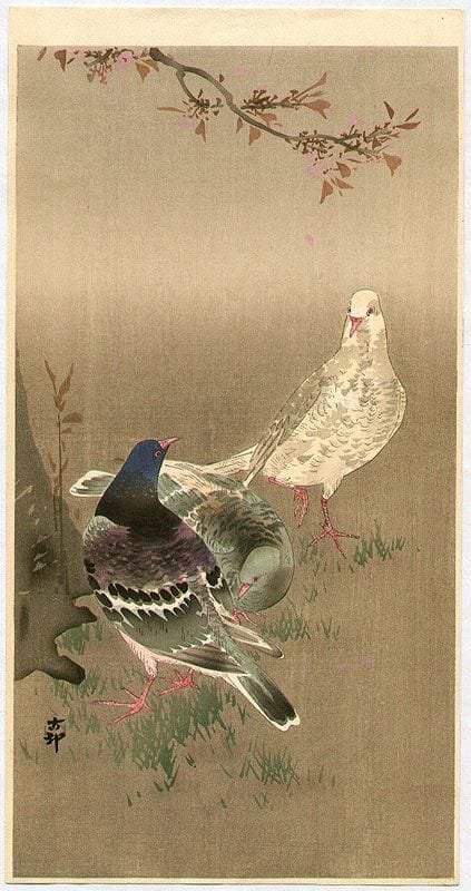 Tableaux sur toile, reproduction de Ohara Koson Pigeons Under Cherry Tree