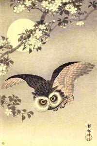 Ohara Koson Scops Owl In Flight Cherry Blossoms And Full Moon 1926
