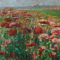 Olga Wisinger-florian Blooming Poppies Ca. 1895-1900