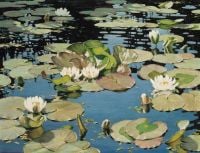 Oppenheimer Charles Water Lilies canvas print