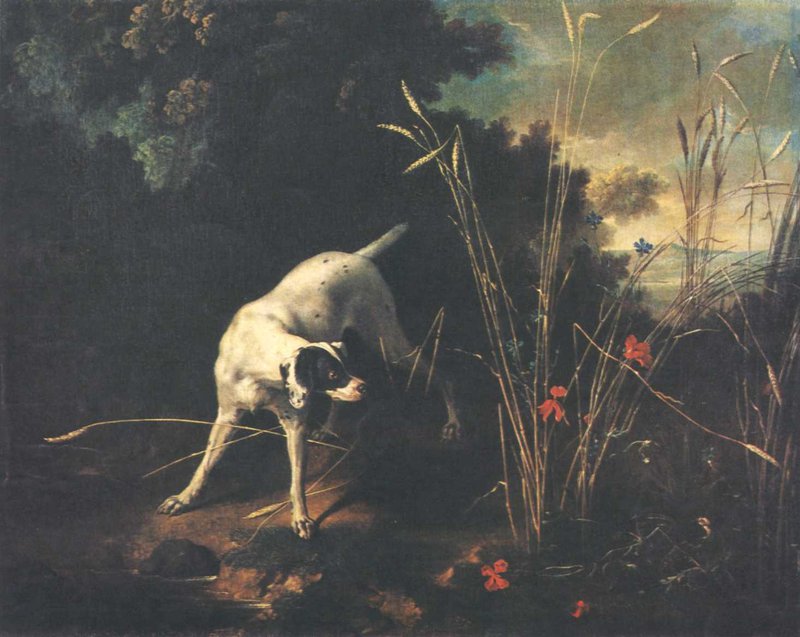 Oudry Jean Baptiste A Dog Pointing A Partridge canvas print