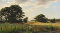 Pedersen Viggo Light Clouds Over A Meadow 1881 canvas print