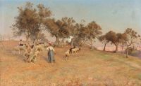 Pedersen Viggo Leinwanddruck „Die Herde wird über das Feld mit Olivenbäumen nach Hause getrieben“.
