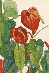 Peterson Jane Red Anthuriums canvas print