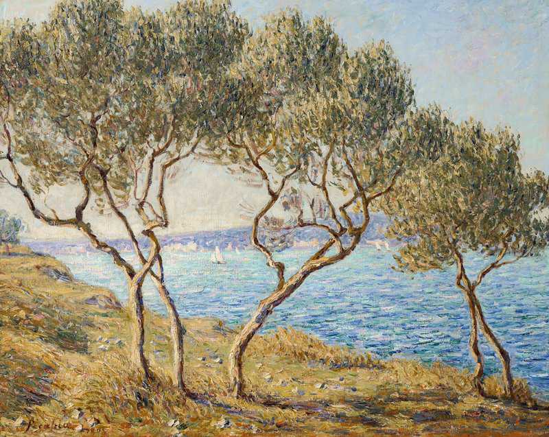 Picabia Francis Les Oliviers Effet De Soleil Aux Martigues 1905 canvas print