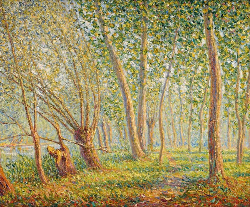 Picabia Francis Les Vieux Saules A Moret Ca. 1905 canvas print