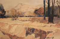 Pierneef Jacob Hendrik A Dry River Bed With Mountains Behind 1914 canvas print