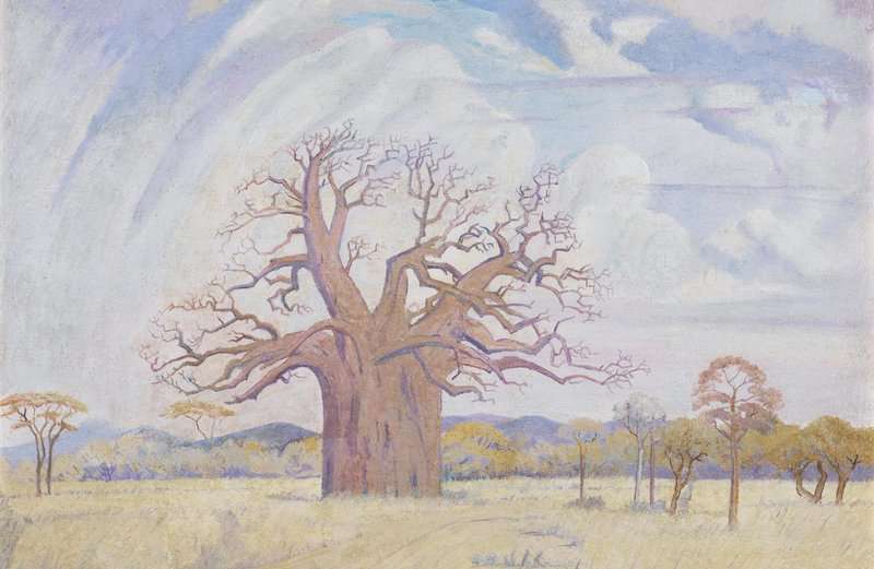 Pierneef Jacob Hendrik Baobab Tree canvas print