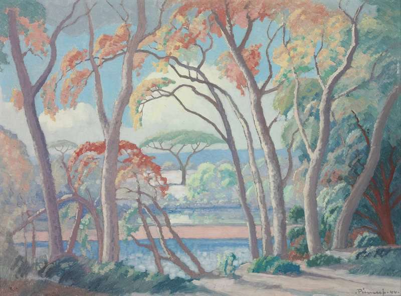 Pierneef Jacob Hendrik Misasa Trees Olifants River 1944 canvas print