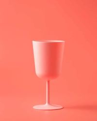 Pink Drink canvas print