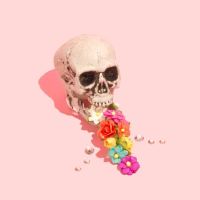 Pink Skull Flowers canvas print