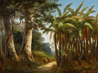 Pissarro Camille Foret Tropicale 1856