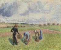 Pissarro Camille Paysannes Ramassant Des Herbes Eragny 1886 canvas print