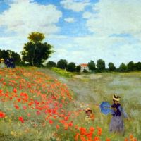 Poppies By Monet