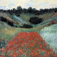 Papaverveld in Giverny door Monet