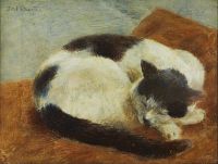 Prins Eugen Black And White Cat Sleeping canvas print