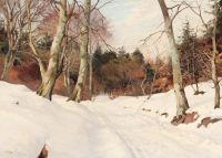 Pryn Harald Forest At Winter Time canvas print