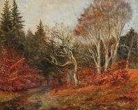 Pryn Harald Forest Scenery 1915