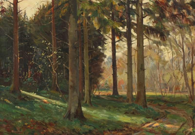 Pryn Harald View From A Forest Road In The Distance A Clearing canvas print