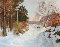 Pryn Harald Winterlandschaft mit einem schneebedeckten Waldweg
