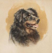Reichert Carl A Portrait Of A Dog 1889 canvas print