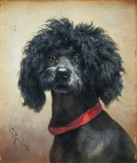 Reichert Carl Dog Portrait