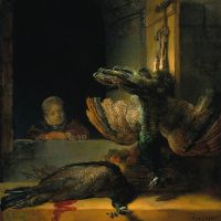 Rembrandt Dead Peacocks