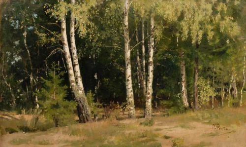 Repin Ilya Efimovich Landscape Siverskaya canvas print