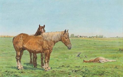 Ring Ole Landscape With Horses 1947 canvas print