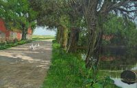 Ring Ole View From Nysted. Country Lane With Grass By Lake Farm Buildings In Background 1 canvas print