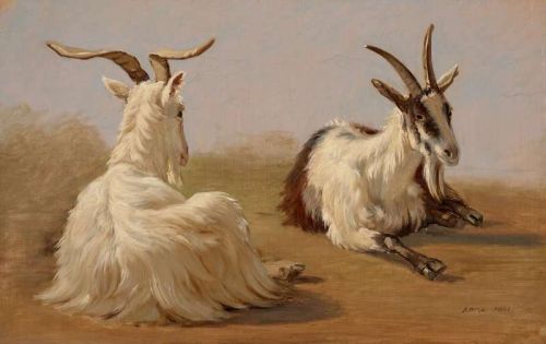 Rorbye Martinus Study Of Two Goats 1841 canvas print
