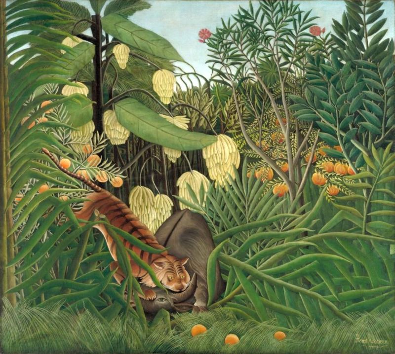 Rousseau Henri Fight Between A Tiger And A Buffalo canvas print