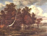 Ruisdael Der Sumpf in der Nähe eines Waldes