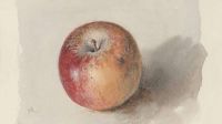 Ruskin John Blenheim Orange Apple Ca. 1873 canvas print