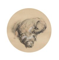 Ruskin John Study Of A Terrier canvas print