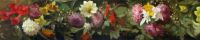 Schwartz Frans Dahlias And Fuchsia canvas print