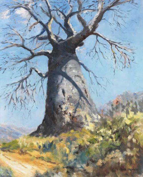 Shepherd David Baobab Tree canvas print