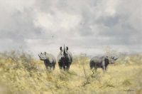 Shepherd David Charging Rhinos canvas print