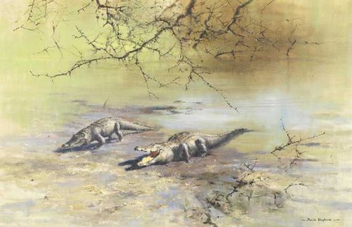 Shepherd David Crocodiles 1963 canvas print