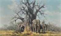 Shepherd David Under The Baobab 1993 canvas print