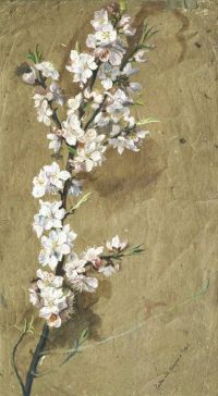 Shields Frederic James A Study Of Apple Blossom canvas print