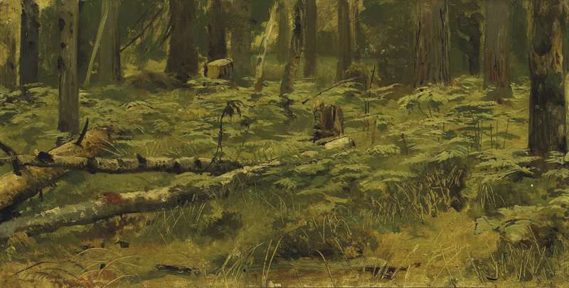 Shishkin Ivan Ivanovich Forest Clearing canvas print