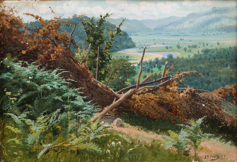 Shishkin Ivan Ivanovich Lush Landscape canvas print