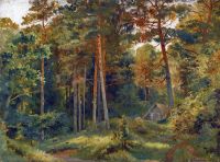 Shishkin Ivan Ivanovich Pine Forest 1872 1 canvas print