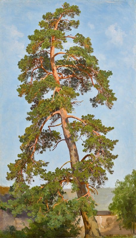 Shishkin Ivan Ivanovich Pine Tree 1895 canvas print