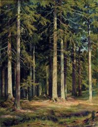 Shishkin Ivan Ivanovich Spruce Forest canvas print
