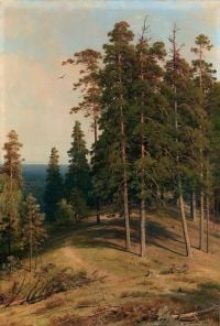 Shishkin Ivan Ivanovich The Pine Forest canvas print