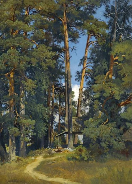 Shishkin Ivan Ivanovich Woodland Grove canvas print